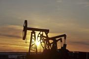Аналитик объяснил, что будет с ценами на нефть в случае снижения квоты на добычу