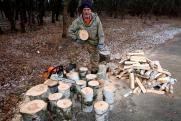 Тюменца оштрафовали на 41 рубль за вырубку леса