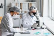 Карельские власти планируют выращивать березы «из пробирки» в отечественных биолабораториях