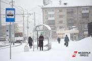 Устранять последствия ледяного дождя в Нижегородской области будут до конца декабря