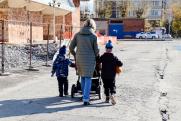 В России предложили делать генетические тесты детям-сиротам