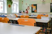 На Алтае школы и детсады закрываются из-за эпидемии гриппа и ОРВИ