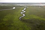 Глобальное потепление и таяние мерзлых болот сделают Арктику зеленой