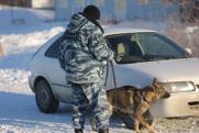 Свердловская полиция и СКР начали проверку из-за гибели пропавшего серовчанина