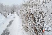 Трехдневный снегопад накроет Владивосток: дата