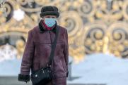 Гинцбург рассказал, что будет происходить с гриппом B в России