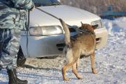 В Оленегорске ФСБ задержала браконьеров с тонной камчатского краба
