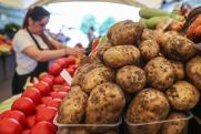 Эндокринолог объяснила, когда картофель опасен