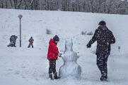 Петербург атакуют крысы, а челябинским детям помогают снеговики-добряки: главные события в регионах