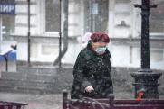 Россиянам пообещали сильные снегопады в начале весны