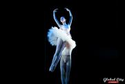 Звезда балета в День всех влюбленных представит в Екатеринбурге уникальный концерт