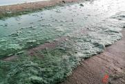 Нечистоты из канализации в Барнауле стекают прямо в Обь