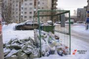 Депутат назвал сроки окончания мусорного коллапса в Новосибирске