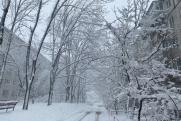Мощный снегопад обрушится на Приморье: дата