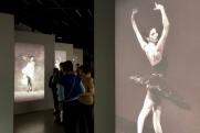 Балетные пачки и красота сложнейшего танца: фоторепортаж с выставки о русском балете в петербургском «Манеже»