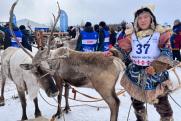 Умчи меня, олень: фоторепортаж с чемпионата России по традиционному оленеводству в Якутии