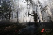 В Тюменской области начались природные пожары: огонь прошел 85 га земли