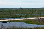 Ямал назвали перспективным регионом для поиска нефти и газа