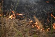 Поселок чуть не загорелся в Иркутской области из-за пала травы