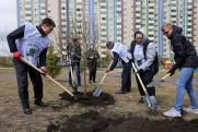 Врио губернатора Котюков посадил деревья в память о героях ВОВ