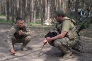 Американский офицер раскрыл истинную цель заявлений Киева о контрнаступлении
