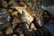 Как жителям Псковской области получить дрова от государства «почти бесплатно»