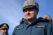Глава МЧС прилетел к погорельцам Зауралья: как курганцы встретили министра