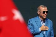 Политолог объяснил цель Эрдогана стать посредником в переговорах по украинскому конфликту