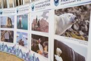 В Санкт-Петербурге стартовал Х Невский экологический конгресс