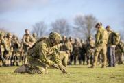 В ДНР рассказали об обстановке на линии боевого соприкосновения