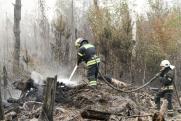 В Челябинской области огонь уничтожил за неделю три тысячи гектаров леса