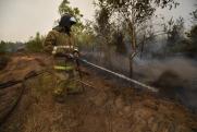 В Югре полыхают природные пожары: огнем охвачен 51 гектар
