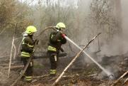 Группировку огнеборцев на Среднем Урале увеличили до 2,5 тысячи человек