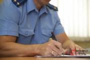 В Магнитогорске водитель сбил двух девочек на пешеходном переходе