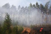 В Красноярском крае горит тайга: подробности к этому часу