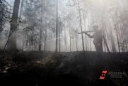 В Югре горит почти 6 тысяч гектаров леса