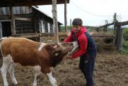 Красноярским фермерам дадут гранты до 8 миллионов рублей