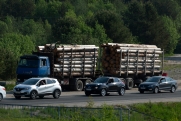 Регионы Северо-Запада отстали по лесозаготовкам: причины