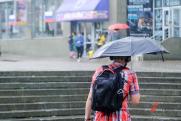 В Хабаровске почти всю неделю будут идти дожди: обещают ливень и грозу