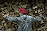 Черные лесорубы спилили деревья под Красноярском на 90 миллионов