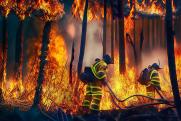 Что мешает тушению лесных пожаров под Томском: ответ властей