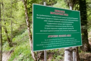 Свердловскому экс-оборонщику грозит срок за попытку выехать в Абхазию