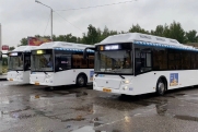 В Костромской области ввели современные  подходы к организации работы общественного транспорта