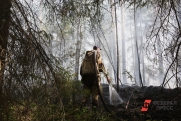 Ямальцев предупредили о высоком риске лесных пожаров из-за жары: какие районы в опасности