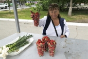 Агроном Воробьев дал совет, что сделать сейчас чтобы увеличить урожай клубники следующим летом
