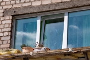 Пятилетняя девочка упала с седьмого этажа в Хабаровске и выжила