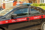 Уголовное дело возбуждено по факту нападения на Милашину и Немова