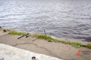 Росрыболовство проводит проверку из-за гибели краснокнижной рыбы на берегу Иртыша