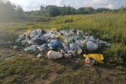 Под Нижневартовском дачники нашли свалку останков животных