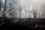 На Ямале ввели режим ЧС из-за лесных пожаров